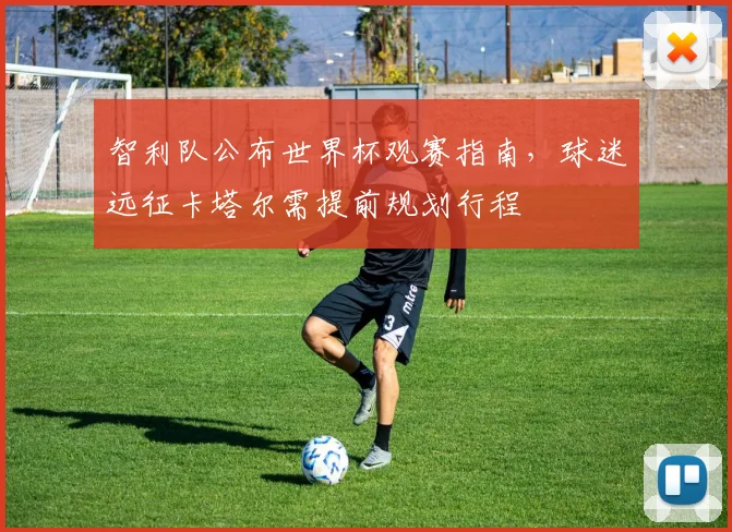 智利队公布世界杯观赛指南，球迷远征卡塔尔需提前规划行程