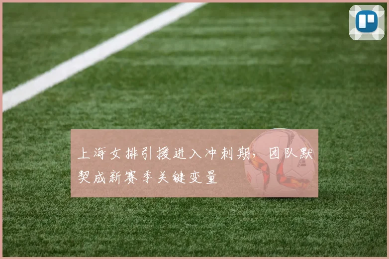 上海女排引援进入冲刺期，团队默契成新赛季关键变量