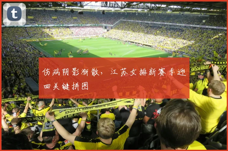 伤病阴影渐散，江苏女排新赛季迎回关键拼图