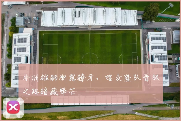 非洲雄狮渐露獠牙，喀麦隆队晋级之路暗藏锋芒